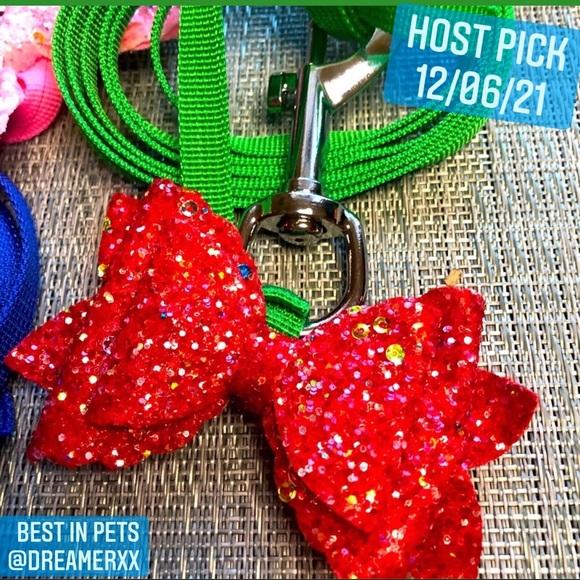#14 🐾Dog Leash and Detachable Bow Set in Sparkles🐾 - Picture 3 of 16